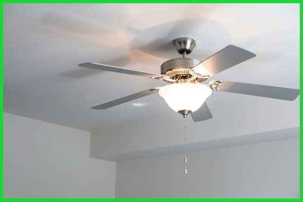 Ceiling Fans with Lights