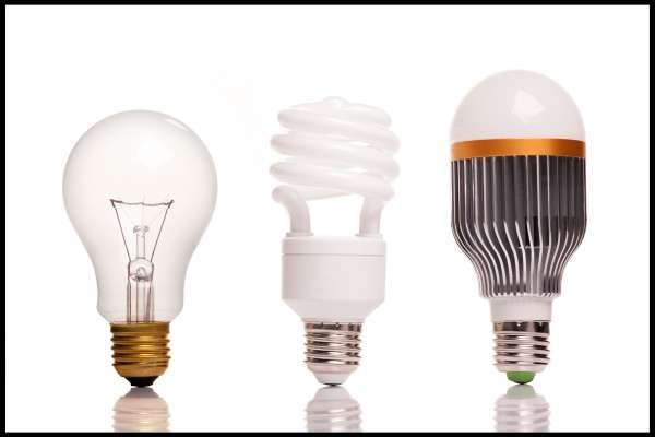 Choosing the Right Bulbs