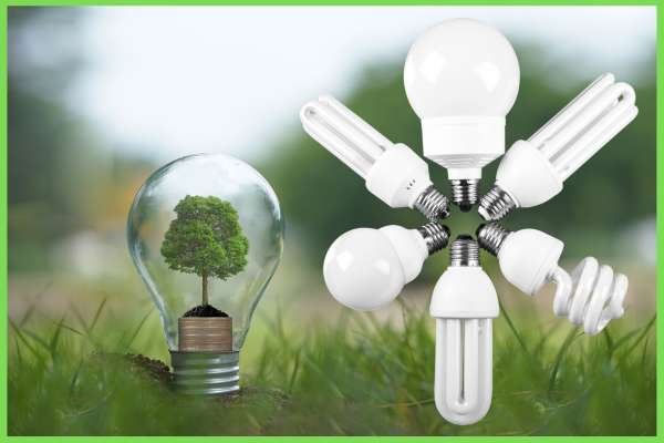 Select Energy-Efficient Bulbs